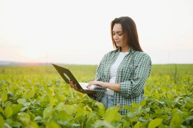 Modern tarım sektörü. Dijital dizüstü bilgisayarı olan kadın çiftçi tarlada soya fasulyelerinin yeşil yapraklarını inceliyor ve kontrol ediyor. Agronomist, filizlerin büyümesini ve gelişmesini kontrol eder. Akıllı tarım teknolojisi