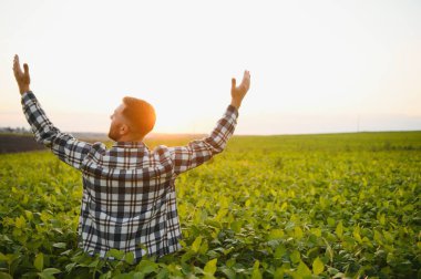 Genç çiftçi, soya fasulyesi şirketini inceliyor. Başparmak kaldırıyor..