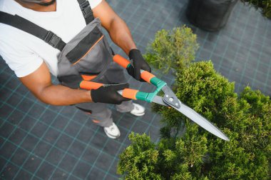 Garden worker trimming trees with scissors. clipart