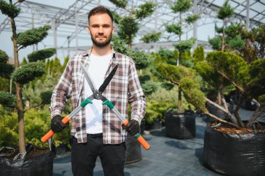 Çalıların, çalıların, ağaçların ve diğer bitkilerin görünümünü korumak için Pruning Works. Profesyonel Bahçe Düzenleyicisi Bahçe Makaslarıyla Fazla Büyümüş Sprigleri ve Yaprakları Kesiyor.