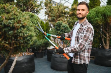 Genç bir bahçıvan bir ağacı makasla keser. Bahçe ve ağaç dükkanı konsepti.