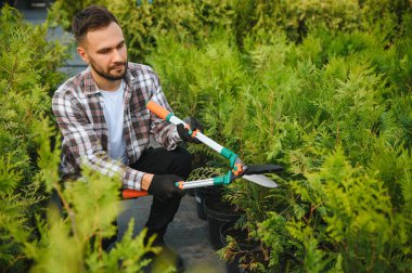 Genç bir bahçıvan bir ağacı makasla keser. Bahçe ve ağaç dükkanı konsepti.