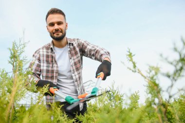 Genç bir bahçıvan bir ağacı makasla keser. Bahçe ve ağaç dükkanı konsepti.