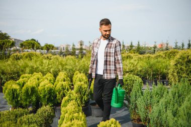 Genç bir bahçıvan bir ağacı makasla keser. Bahçe ve ağaç dükkanı konsepti.
