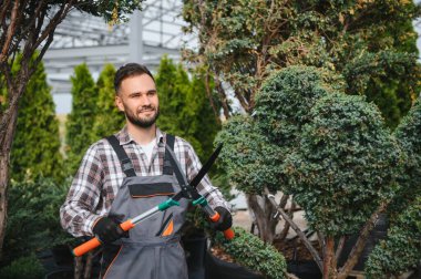 Bahçıvan ağaçları buduyor..