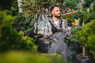 Bahçıvan ağaçları buduyor..