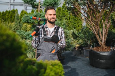 Arka bahçesinde ya da bahçe dükkanında çalışan bir adam. Erkek bahçıvan ağaçları buduyor..