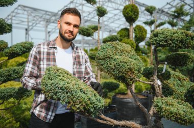 Çalıların ve ağaçların yanında bahçıvan çalışıyor. Bahçecilik ve ağaç satışı.