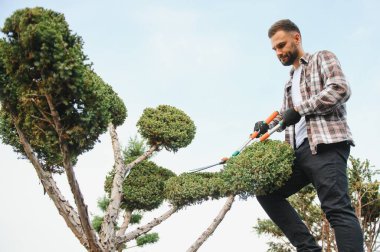 Genç yakışıklı bir bahçıvanın portresi. Ağaç filizleri dükkânı