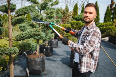 Genç bir bahçıvan bir ağacı makasla keser. Bahçe ve ağaç dükkanı konsepti.