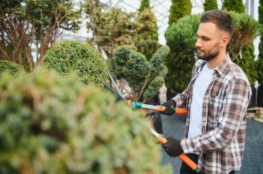 Bahçe işçisi, ağaçları makasla buduyor..