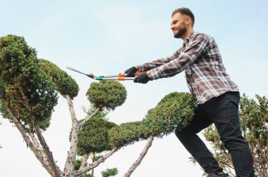 Genç bir bahçıvan bir ağacı makasla keser. Bahçe ve ağaç dükkanı konsepti.