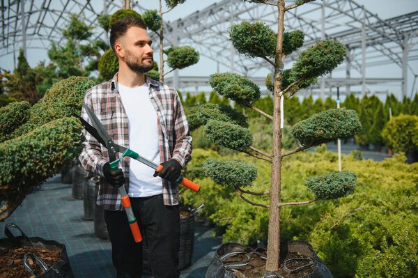 Садово-уборочные работы по поддержанию внешнего вида кустарников, кустарников, деревьев и других растений. Профессиональный ландшафтный дизайнер срезает заросшие пелёнки и листья садовыми ножницами.