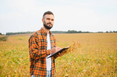 Genç tarımcı soya tarlasında tablet dokunmatik ped bilgisayarını tutuyor ve hasat etmeden önce ekinleri inceliyor. Tarım sektörü konsepti. Yazın soya tarlasında elinde tabletle duran tarım mühendisi.