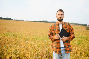 Soya tarlasında tarımcı çiftçi hasattan önce ekinleri kontrol ediyor. Organik gıda üretimi ve yetiştirilmesi.