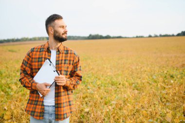 Agronomist tarlada yetişen soya fasulyesi ekinlerini inceliyor. Tarım üretim konsepti. Genç tarımcı yazın tarlada soya fasulyesi mahsulünü inceliyor. Soya tarlasında çiftçi