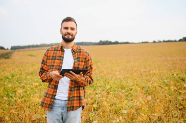 Agronomist tarlada yetişen soya fasulyesi ekinlerini inceliyor. Tarım üretim konsepti. Genç tarımcı yazın tarlada soya fasulyesi mahsulünü inceliyor. Soya tarlasında çiftçi