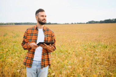 Soya tarlasında tarım yapan çiftçi. Tarım ürünlerinin büyümesini kontrol etmek.