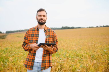 Agronomist tarlada yetişen soya fasulyesi ekinlerini inceliyor. Tarım üretim konsepti. Genç tarımcı yazın tarlada soya fasulyesi mahsulünü inceliyor. Soya tarlasında çiftçi