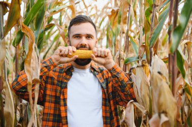 Komik ve neşeli çiftçi ağzında mısır koçanı tutuyor..