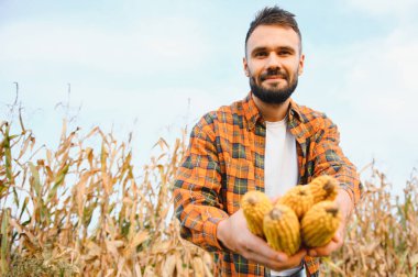 Mısır tarlasında mutlu bir çiftçi ya da tarım uzmanı. Organik tarım ve gıda üretimi.