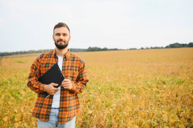 Soya tarlasında tarım yapan çiftçi. Tarım ürünlerinin büyümesini kontrol etmek.