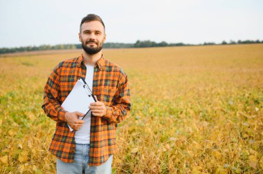 Agronomist tarlada yetişen soya fasulyesi ekinlerini inceliyor. Tarım üretim konsepti. Genç tarımcı yazın tarlada soya fasulyesi mahsulünü inceliyor. Soya tarlasında çiftçi