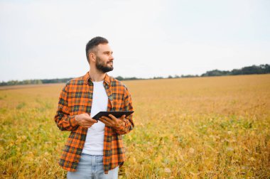 Genç tarımcı soya tarlasında tablet dokunmatik ped bilgisayarını tutuyor ve hasat etmeden önce ekinleri inceliyor. Tarım sektörü konsepti. Yazın soya tarlasında elinde tabletle duran tarım mühendisi.