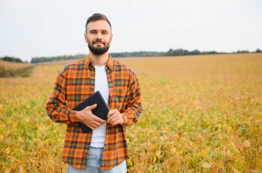 Soya tarlasında tarımcı çiftçi hasattan önce ekinleri kontrol ediyor. Organik gıda üretimi ve yetiştirilmesi.
