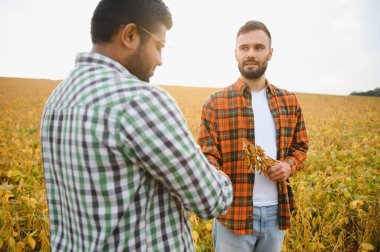 Soya tarlasında iki çiftçi iş ortağı sözleşme imzaladıktan sonra el sıkışıyor..