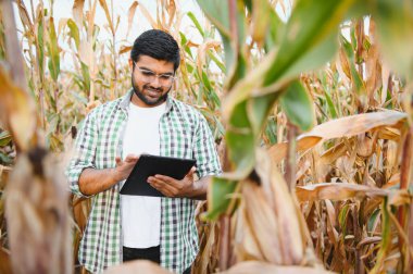 Genç Hintli çiftçi ya da mısır tarlasında tarımcı. Tarım kavramı.