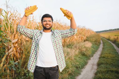 Güney Asyalı tarımcı çiftçi mısır tarlası çiftliğini inceliyor. Tarım üretim kavramı.