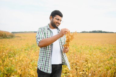 Çiftlik tarlasında Hintli çiftçi.