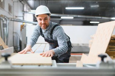 Modern fabrikada mobilya üretimi için ahşap paneller kesen yetenekli marangoz.