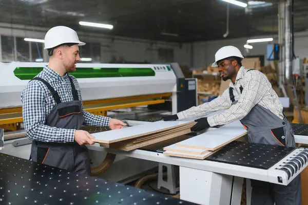 İki farklı fabrika işçisi, modern bir mobilya fabrikasında kanepe üretiminde işbirliği yaparak, bir makinenin yanında işlenmiş ahşap tahtaları dikkatle tutuyorlar.