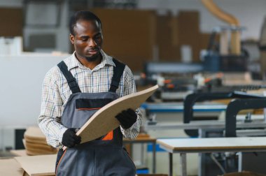 Becerikli marangoz ahşap paneli dikkatle inceliyor. Mobilya üretim tesisinde kalite sağlıyor.