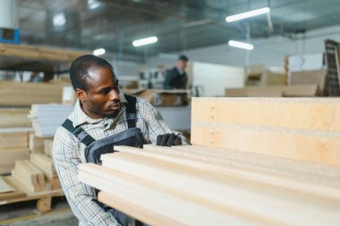 Marangoz, ahşap işçiliğindeki ustalığını ve hassasiyetini göstermek için mobilya fabrikasında bir yığın tahtanın üzerine dikkatlice tahta yerleştiriyor.