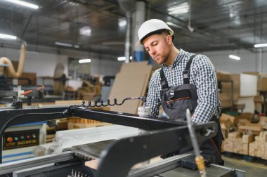 Marangoz, mobilya fabrikasında güvenlik kaskı takıyor. Koltuklar için ahşap parçalar üretiyor.