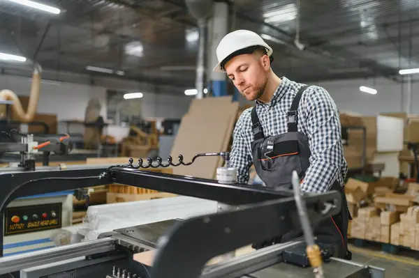 Marangoz, mobilya fabrikasında güvenlik kaskı takıyor. Koltuklar için ahşap parçalar üretiyor.