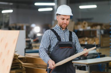 Marangoz güvenlik kaskı takıyor mobilya fabrikasında ahşap kalas inceliyor, kalite kontrol ve marangozluk endüstrisi konsepti