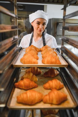 Profesyonel fırıncı, fırın mutfağındaki endüstriyel fırına bir tepsi altın rengi kruvasan koyuyor.