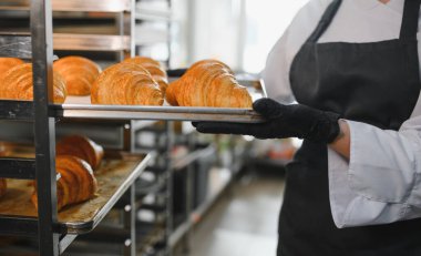 Siyah eldiven giyen fırıncı fırın ortamında içi taze pişmiş altın rengi kruvasanlarla dolu metal bir tepsi tutuyor.