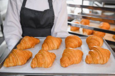 Profesyonel bir fırıncı bir tepsi mükemmel kahverengi kruvasan sunar, bir fırında veya pastanede titiz pişirmenin sonucunu sergiler.