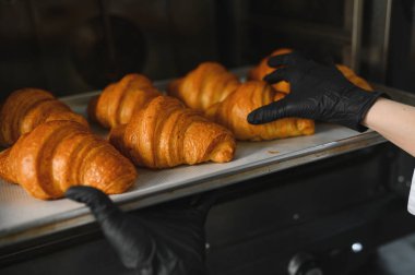 Siyah eldivenli fırıncı profesyonel bir fırından bir tepsi altın rengi kruvasan alıyor.