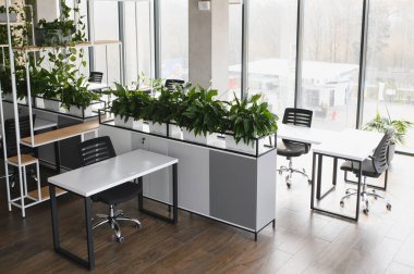 Beyaz masalar, siyah sandalyeler ve verimli ve keyifli bir çalışma ortamı yaratan yemyeşil bitkilerin yer aldığı şık ofis alanı