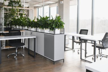 Beyaz masalar, ergonomik sandalyeler ve verimli ve ferahlatıcı bir çalışma ortamı yaratan yemyeşil bitkiler içeren şık ve ekolojik bir ofis alanı