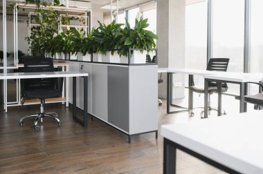 Beyaz masalar, siyah sandalyeler ve verimli ve üretken bir çalışma ortamı yaratan yemyeşil bitkilerle süslenmiş merkezi bir bölme.