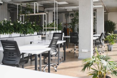 Beyaz masaları, siyah sandalyeleri ve verimli bir atmosfer yaratan bol yeşil bitkileri olan boş modern ofis.