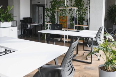 Beyaz masalar ve siyah sandalyeler, yemyeşil bitkilerin varlığı ile geliştirilmiş çağdaş bir ofis alanında şık ve üretken bir atmosfer yaratırlar.