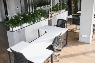 Çağdaş çalışma alanı beyaz masalar, ergonomik sandalyeler ve yemyeşil verimli ve estetik olarak memnun edici bir ortam yaratıyor.